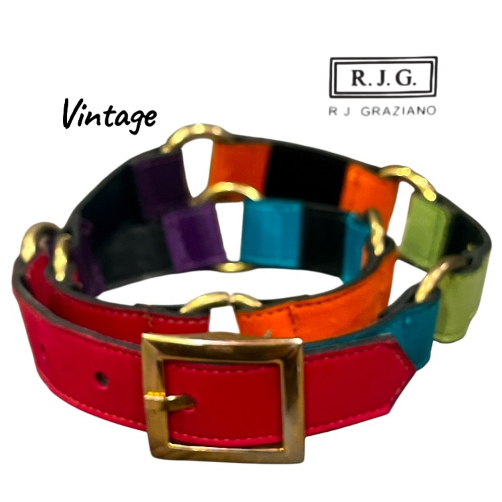 Vintage R.J. Graziano Retro Brass Loop Link Multi Colored Belt -Small